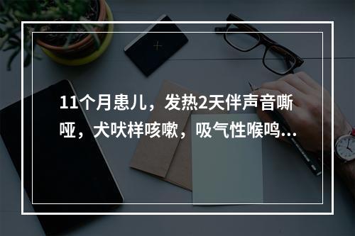 11个月患儿，发热2天伴声音嘶哑，犬吠样咳嗽，吸气性喉鸣，烦