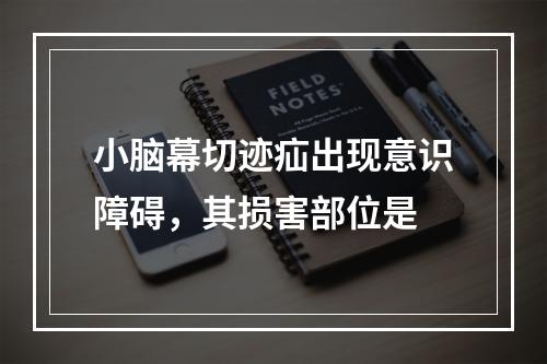 小脑幕切迹疝出现意识障碍，其损害部位是