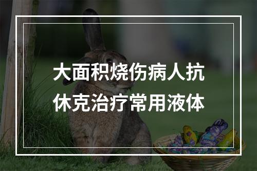 大面积烧伤病人抗休克治疗常用液体