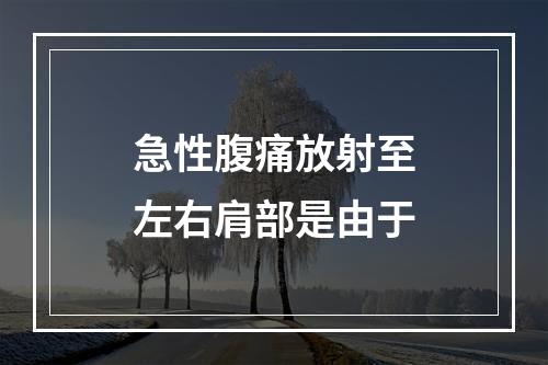 急性腹痛放射至左右肩部是由于