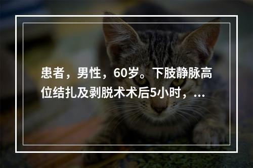 患者，男性，60岁。下肢静脉高位结扎及剥脱术术后5小时，因站