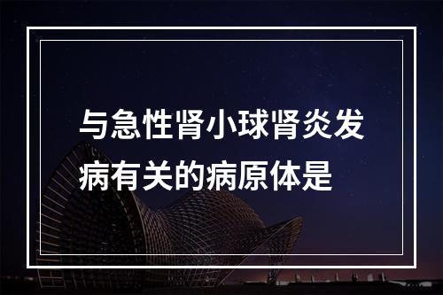 与急性肾小球肾炎发病有关的病原体是