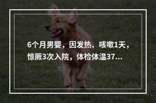 6个月男婴，因发热、咳嗽1天，惊厥3次入院，体检体温37.2