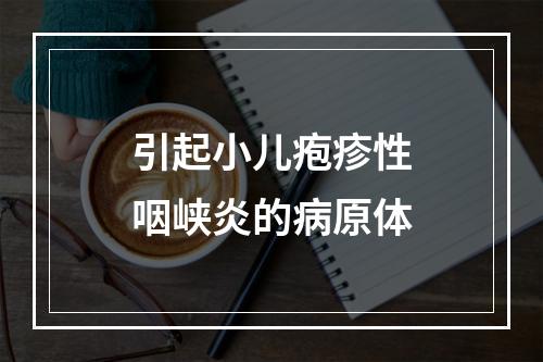 引起小儿疱疹性咽峡炎的病原体