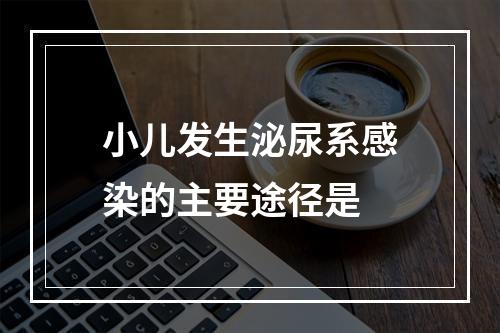 小儿发生泌尿系感染的主要途径是