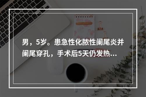 男，5岁。患急性化脓性阑尾炎并阑尾穿孔，手术后5天仍发热、腹