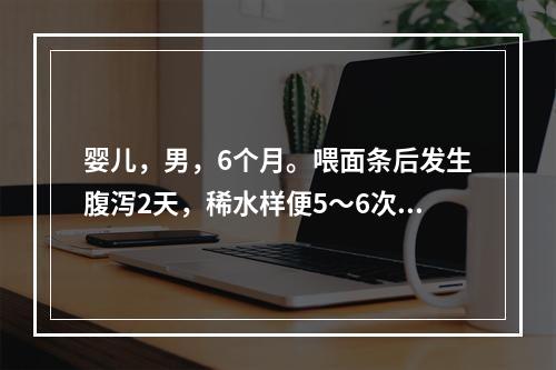 婴儿，男，6个月。喂面条后发生腹泻2天，稀水样便5～6次／日