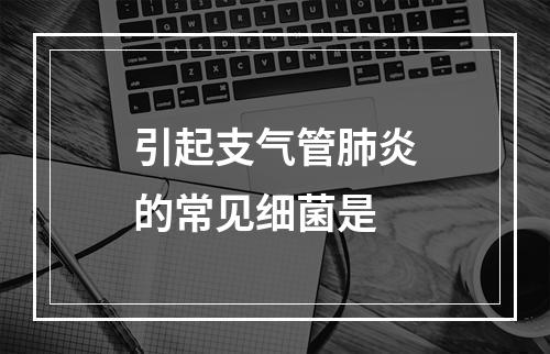 引起支气管肺炎的常见细菌是