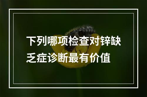 下列哪项检查对锌缺乏症诊断最有价值