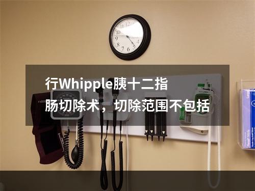 行Whipple胰十二指肠切除术，切除范围不包括