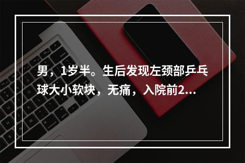 男，1岁半。生后发现左颈部乒乓球大小软块，无痛，入院前2天感