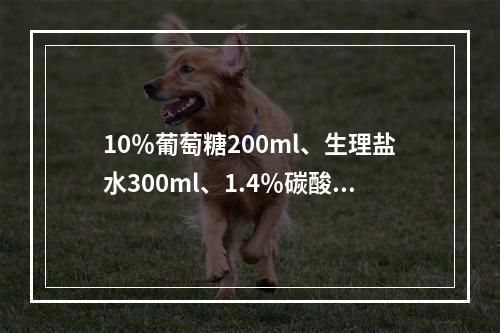 10％葡萄糖200ml、生理盐水300ml、1.4％碳酸氢钠