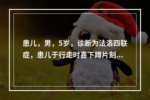 患儿，男，5岁，诊断为法洛四联症，患儿于行走时喜下蹲片刻再走