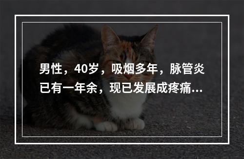 男性，40岁，吸烟多年，脉管炎已有一年余，现已发展成疼痛严重