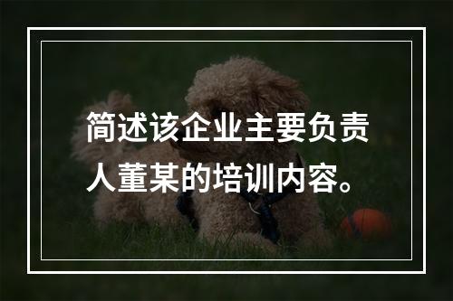 简述该企业主要负责人董某的培训内容。