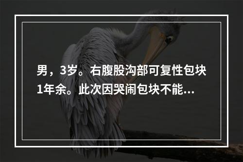 男，3岁。右腹股沟部可复性包块1年余。此次因哭闹包块不能还纳