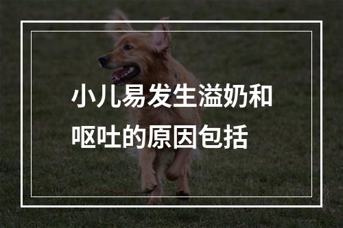 小儿易发生溢奶和呕吐的原因包括