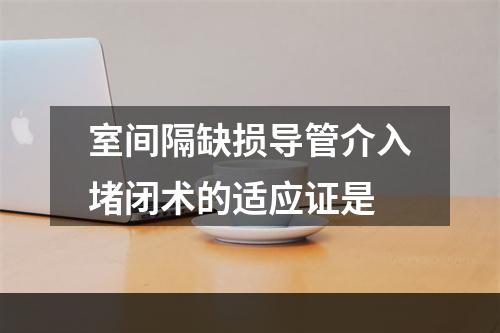 室间隔缺损导管介入堵闭术的适应证是