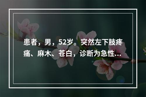 患者，男，52岁。突然左下肢疼痛、麻木、苍白，诊断为急性动脉