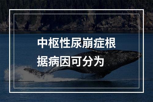 中枢性尿崩症根据病因可分为