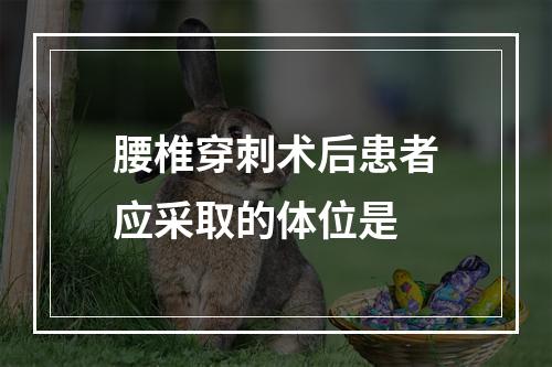 腰椎穿刺术后患者应采取的体位是