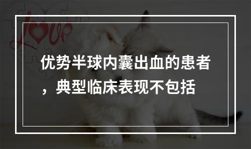 优势半球内囊出血的患者，典型临床表现不包括