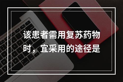 该患者需用复苏药物时，宜采用的途径是