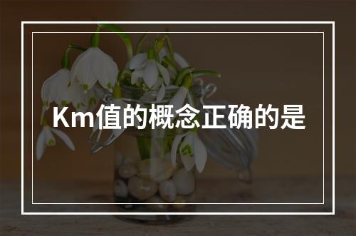 Km值的概念正确的是