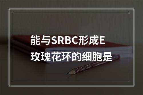 能与SRBC形成E玫瑰花环的细胞是