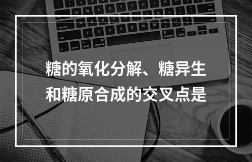 糖的氧化分解、糖异生和糖原合成的交叉点是