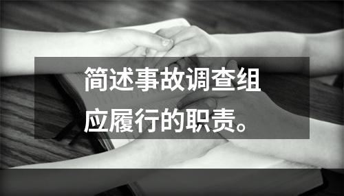 简述事故调查组应履行的职责。