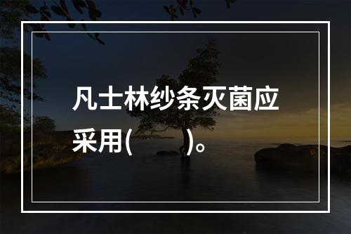 凡士林纱条灭菌应采用(　　)。