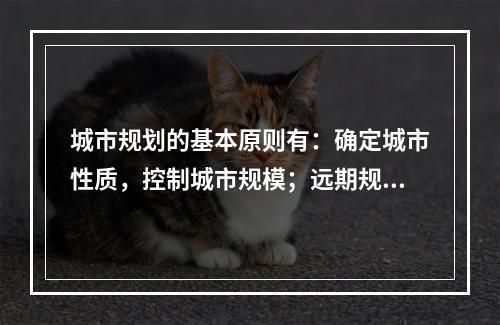 城市规划的基本原则有：确定城市性质，控制城市规模；远期规划与