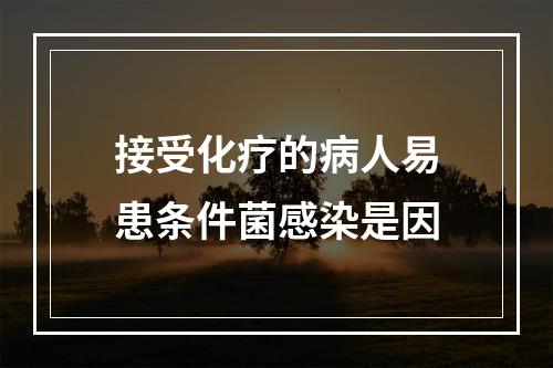 接受化疗的病人易患条件菌感染是因