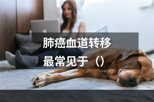 肺癌血道转移最常见于（）