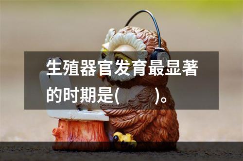 生殖器官发育最显著的时期是(　　)。