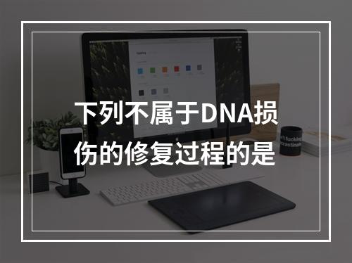 下列不属于DNA损伤的修复过程的是