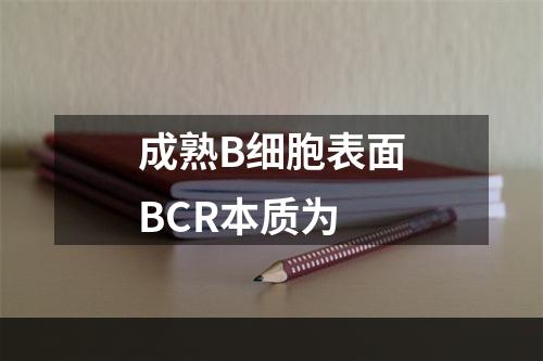 成熟B细胞表面BCR本质为