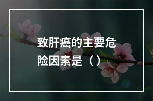 致肝癌的主要危险因素是（ ）