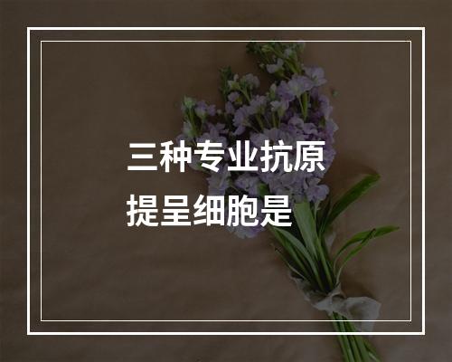 三种专业抗原提呈细胞是