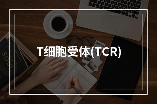 T细胞受体(TCR)