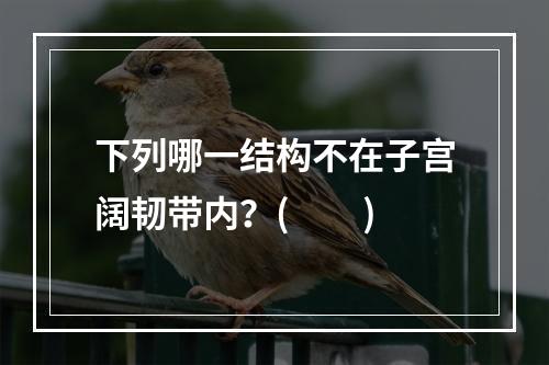 下列哪一结构不在子宫阔韧带内？(　　)