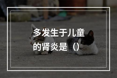 多发生于儿童的肾炎是（）