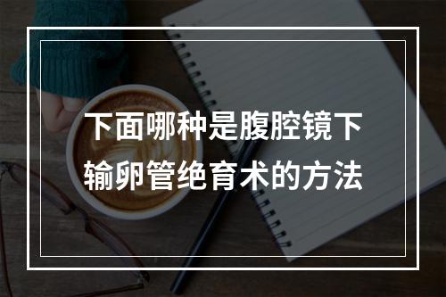 下面哪种是腹腔镜下输卵管绝育术的方法