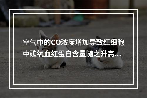 空气中的CO浓度增加导致红细胞中碳氧血红蛋白含量随之升高的现