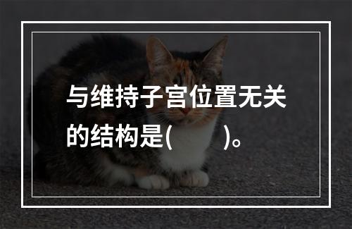 与维持子宫位置无关的结构是(　　)。