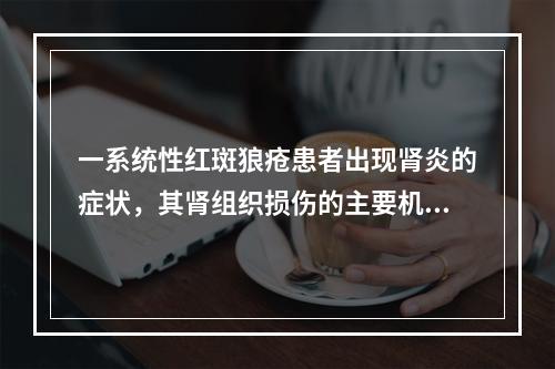 一系统性红斑狼疮患者出现肾炎的症状，其肾组织损伤的主要机制是