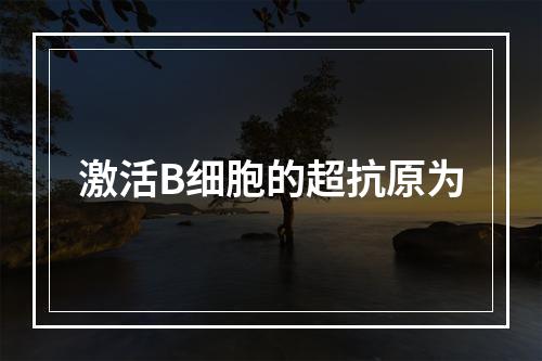 激活B细胞的超抗原为