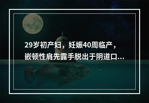 29岁初产妇，妊娠40周临产，嵌顿性肩先露手脱出于阴道口外，