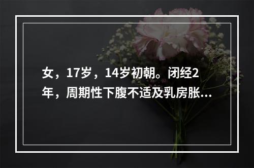 女，17岁，14岁初朝。闭经2年，周期性下腹不适及乳房胀，有